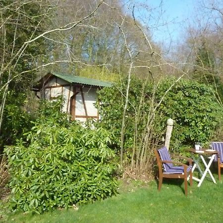 Ferienwohnung Ehemaliges Waldkurhaus Drangstedt Exterior foto